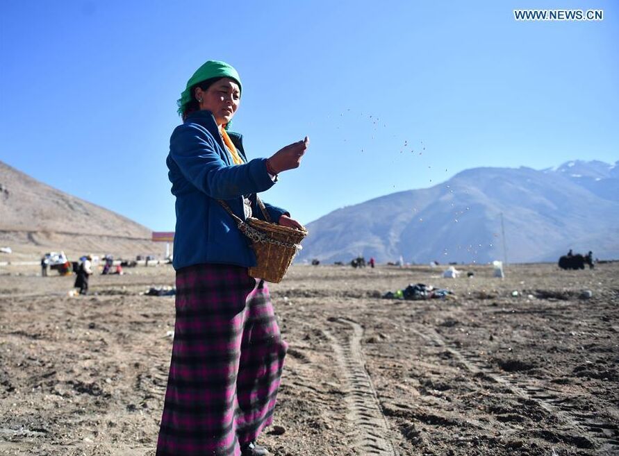 Comienza el arado de primavera en el Tíbet