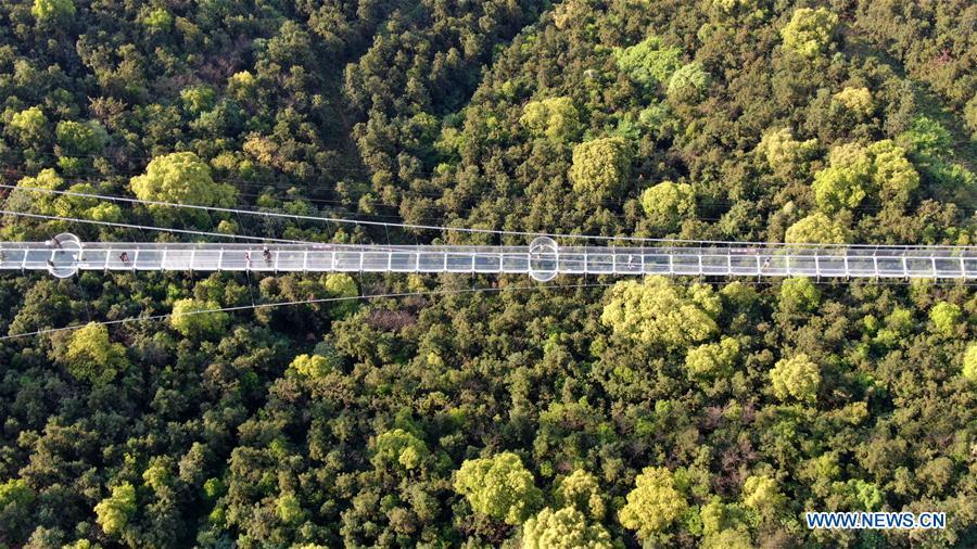 Impresionante puente de cristal en el Parque Internacional de Atracciones de Huanxi