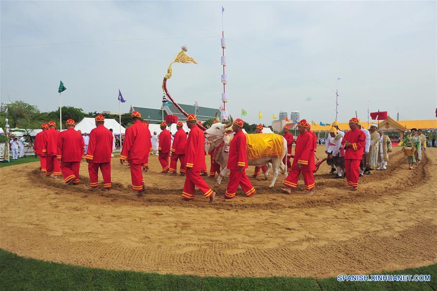 Ceremonia de arado anual en Tailandia