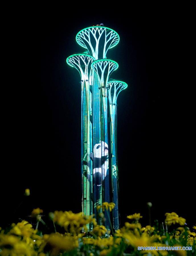 Espectáculo de luces en Parque Forestal Olímpico en Beijing