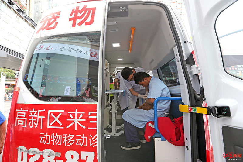 Nueva ambulancia veterinaria debuta en Chengdu