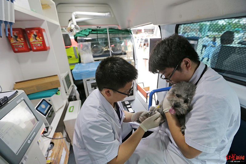 Nueva ambulancia veterinaria debuta en Chengdu