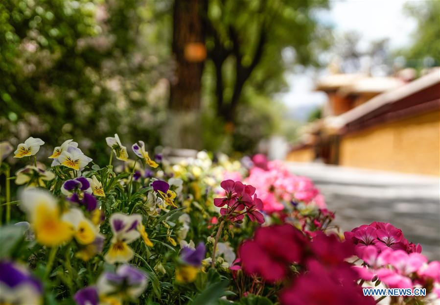 Norbu Lingka: el jardín del tesoro de Lhasa