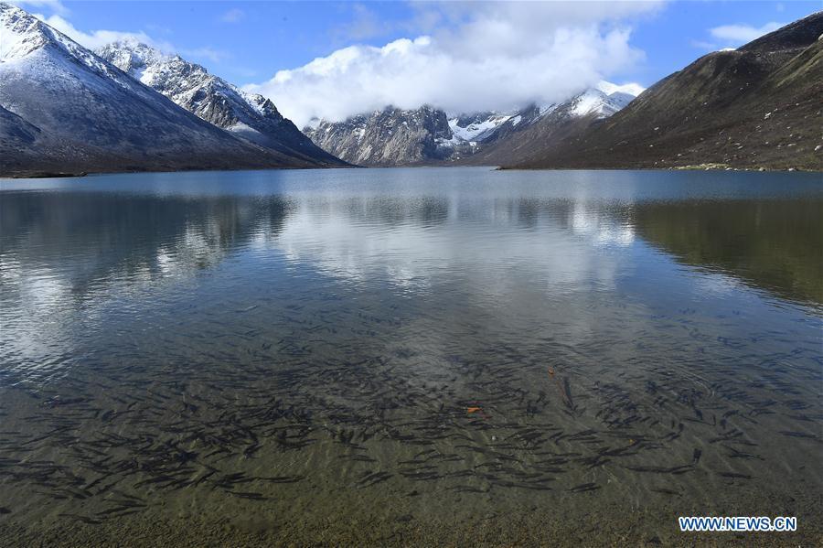 Monte Nianbaoyuze: majestuosidad y pureza de Qinghai
