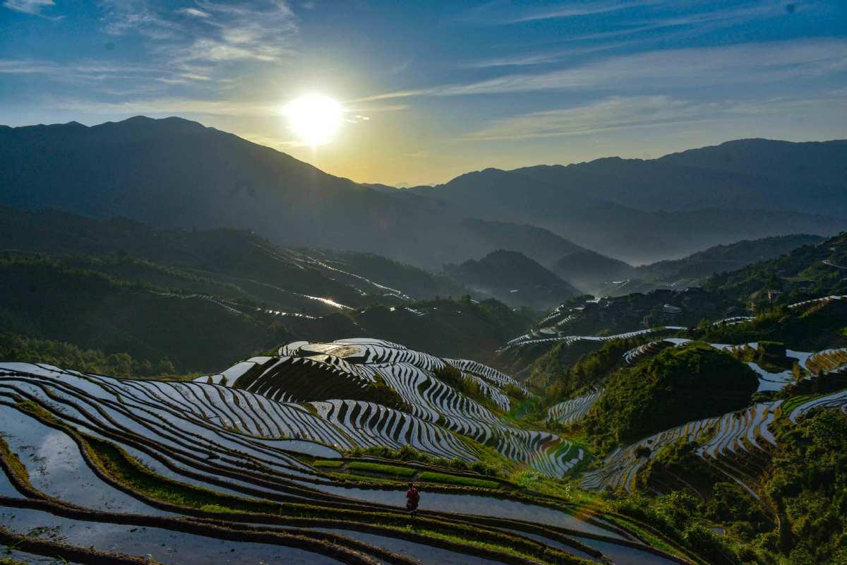 Terrazas de Longji, en Longsheng, Región Autónoma Guangxi Zhuang, 3 de junio del 2019. [Foto: Pan Zhixiang/chinadaily.com.cn]