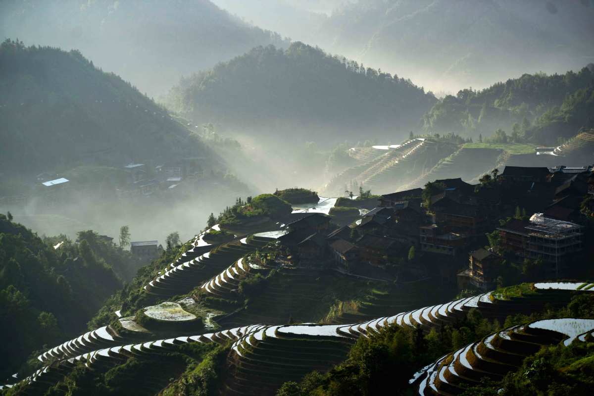 Terrazas de Longji, en Longsheng, Región Autónoma Guangxi Zhuang, 3 de junio del 2019. [Foto: Pan Zhixiang/chinadaily.com.cn]
