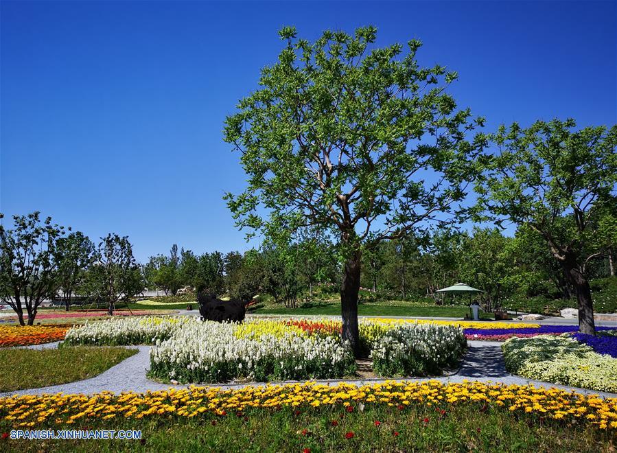 Imagen tomada con un teléfono celular del paisaje de la Exposición Internacional de Horticultura de Beijing, en Beijing, capital de China, el 3 de junio de 2019. (Xinhua/Ding Jing)