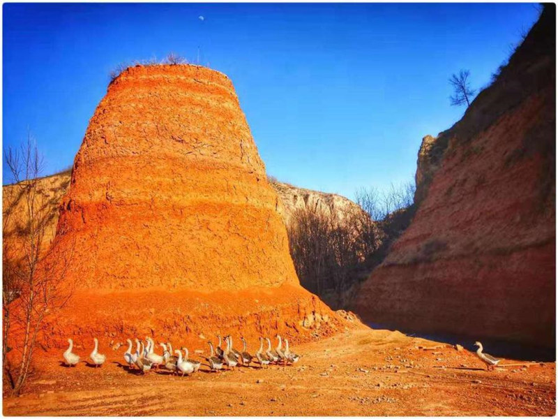 Formación en el Geoparque de Tierra Roja de Heimapo, Liulin, provincia de Shanxi.  [Foto: chinadaily.com.cn/Wang Fengyun ]