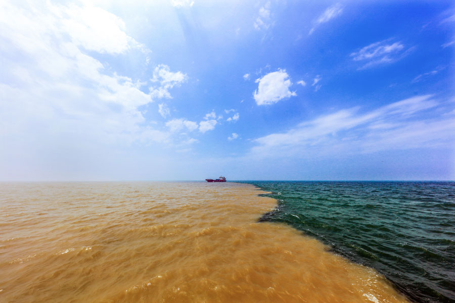 Desembocadura del río Amarillo, el segundo más largo de China, en el Mar de Bohai, Dongying, provincia de Shandong. [Foto: proporcionada a chinadaily.com.cn]