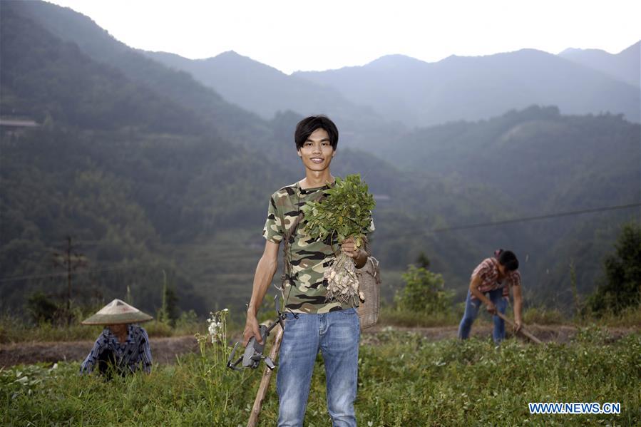 Zhang Hui posa en un campo de maní en la ciudad de Dongping del condado de Anhua, provincia de Hunan, en el centro de China, el 22 de agosto de 2019. (Xinhua / Li Ga)