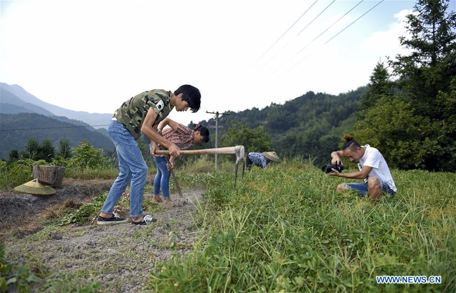Zhang Hui (izquierda) graba videos de la cosecha de maní con su compañero en un campo de maní en la ciudad de Dongping del condado de Anhua, provincia de Hunan, en el centro de China, el 22 de agosto de 2019.