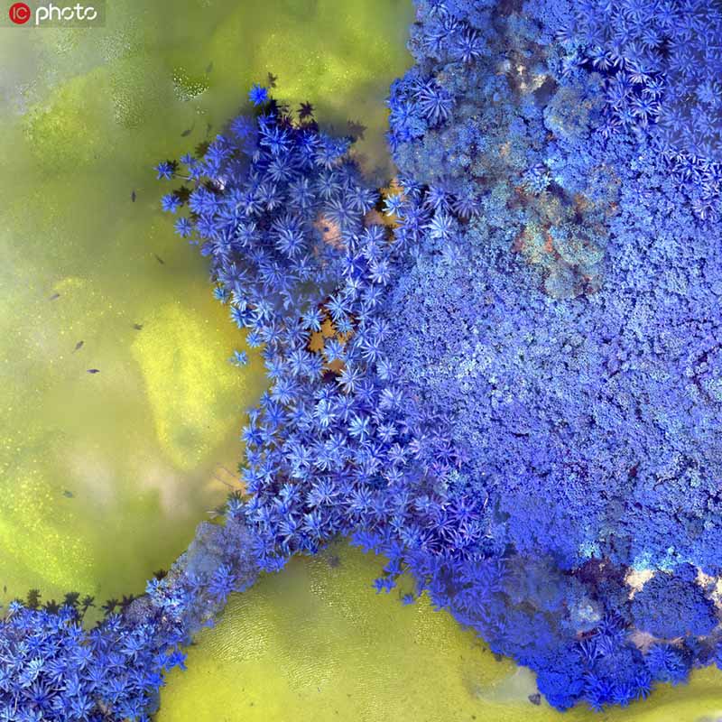 La Tierra como ARTE: imágenes infrarrojas captadas por satélites muestran salinas, ríos y glaciares con colores deslumbrantes