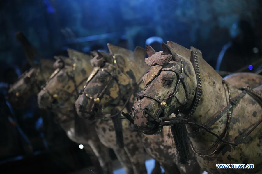 Exhiben el primer carruaje de bronce con sus caballos en el Museo del Mausoleo del Emperador Qinshihuang en Xi'an