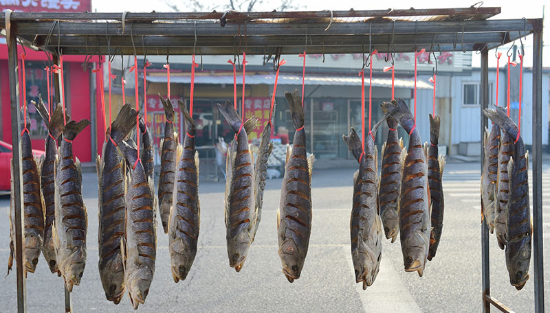 Imagen de pescado salado seco en la entrada de una tienda en el vecindario Wanggezhuang de Qingdao, en la provincia de Shandong, este de China. Se trata de una estampa típica del duodécimo mes del calendario lunar chino, conocido como layue en chino. [Fotos de Wang Hua / para chinadaily.com.cn]