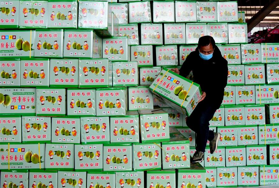 ZHENGZHOU, 4 febrero, 2020 (Xinhua) -- Un hombre acomoda cajas de frutas en el mercado mayorista de productos agrícolas de Wanbang en el distrito de Zhongmu de Zhengzhou, provincia de Henan, en el centro de China, el 4 de febrero de 2020. Diversas medidas son llevadas a cabo a través de Henan para asegurar que tengan un suministro suficiente de productos agrícolas. (Xinhua/Zhu Xiang)