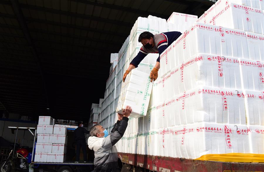 ZHENGZHOU, 4 febrero, 2020 (Xinhua) -- Trabajadores descargan verduras en el mercado mayorista de productos agrícolas de Wanbang en el distrito de Zhongmu de Zhengzhou, provincia de Henan, en el centro de China, el 4 de febrero de 2020. Diversas medidas son llevadas a cabo a través de Henan para asegurar que tengan un suministro suficiente de productos agrícolas. (Xinhua/Zhu Xiang)