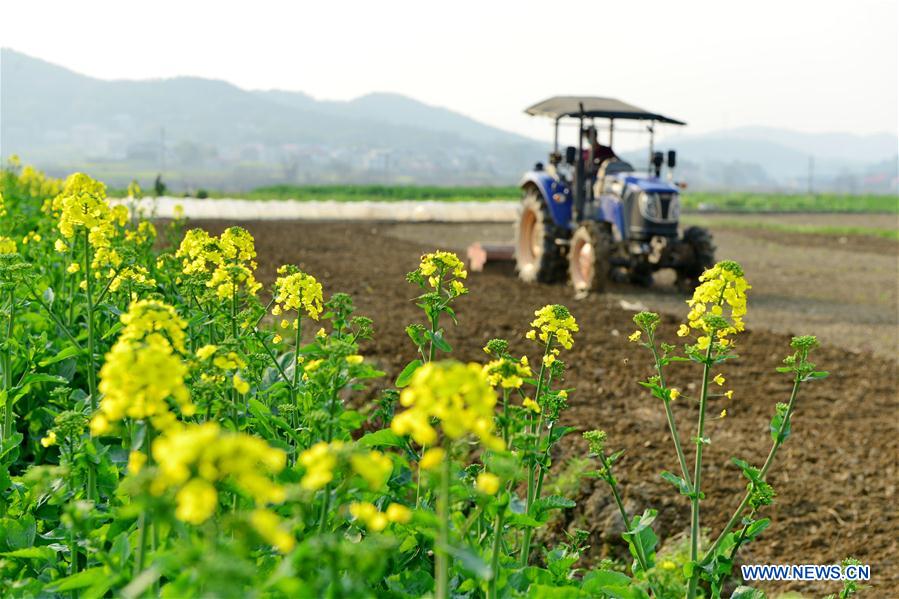 Aldeanos en China ocupados con producción agrícola
