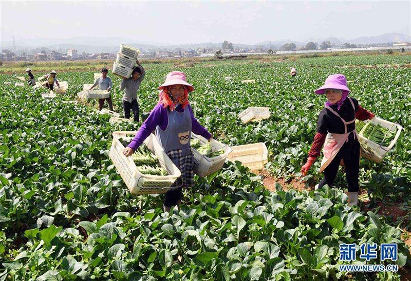 China alcanzará la meta de alivio a la pobreza 10 años antes de lo previsto por la ONU 