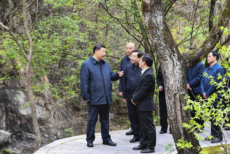 SHANGLUO, 20 abril, 2020 (Xinhua) -- El presidente chino, Xi Jinping, también secretario general del Comité Central del Partido Comunista de China y presidente de la Comisión Militar Central, inspecciona la conservación ecológica de las Montañas Qinling en la Reserva Natural Nacional de Niubeiliang en el distrito de Zhashui, en la ciudad de Shangluo, en la provincia de Shaanxi, en el noroeste de China, el 20 de abril de 2020. (Xinhua/Xie Huanchi)