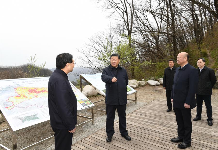 SHANGLUO, 20 abril, 2020 (Xinhua) -- El presidente chino, Xi Jinping, también secretario general del Comité Central del Partido Comunista de China y presidente de la Comisión Militar Central, inspecciona la conservación ecológica de las Montañas Qinling en la Reserva Natural Nacional de Niubeiliang en el distrito de Zhashui, en la ciudad de Shangluo, en la provincia de Shaanxi, en el noroeste de China, el 20 de abril de 2020. (Xinhua/Xie Huanchi)