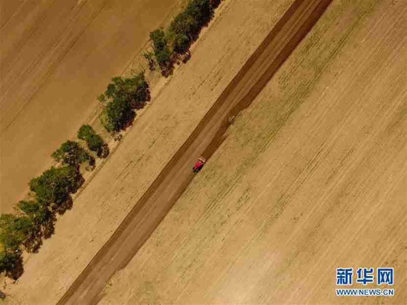 La foto aérea muestra a los aldeanos de la aldea de Xinshe, condado de Huade, Ulanqab de Mongolia Interior, plantando avena según los pedidos, el 18 de mayo de 2018. (Foto de Liu Lei / Xinhua)