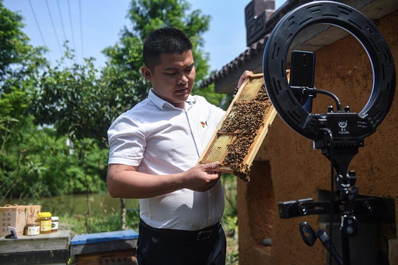 El apicultor Qiu Kai, a través de una transmisión en vivo vía Internet, promueve sus productos apícolas. Lincheng, Changxing, Zhejiang, 20 de mayo del 2020. [Foto: Xinhua]