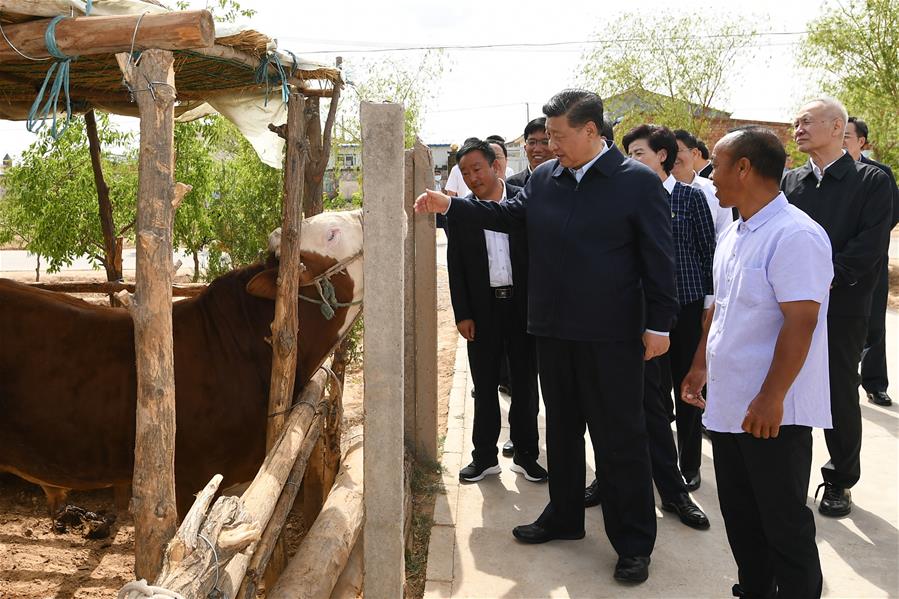 WUZHONG, 8 junio, 2020 (Xinhua) -- El presidente chino, Xi Jinping, también secretario general del Comité Central del Partido Comunista de China y presidente de la Comisión Militar Central, conoce sobre los esfuerzos para avanzar en el alivio de la pobreza en la aldea de Hongde de la ciudad de Wuzhong, en la región autónoma de la etnia hui de Ningxia, en el noroeste de China, el 8 de junio de 2020. Xi inspeccionó Ningxia el lunes. (Xinhua/Xie Huanchi)