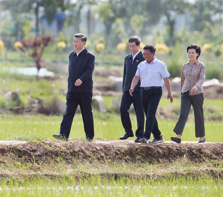 El presidente chino, Xi Jinping, también secretario general del Comité Central del Partido Comunista de China y presidente de la Comisión Militar Central, visita un parque de ecoturismo rural para informarse sobre el desarrollo de la característica agricultura local en el distrito Helan, en la región autónoma de la etnia hui de Ningxia, en el noroeste de China, el 9 de junio de 2020. Xi inspeccionó el martes la ciudad de Yinchuan durante su gira por Ningxia. (Xinhua/Wang Ye)
