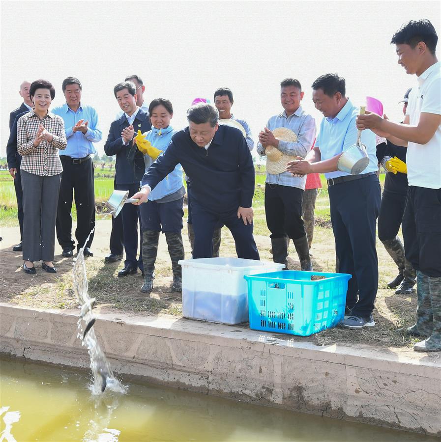 El presidente chino, Xi Jinping, también secretario general del Comité Central del Partido Comunista de China y presidente de la Comisión Militar Central, visita un parque de ecoturismo rural para informarse sobre el desarrollo de la característica agricultura local en el distrito Helan, en la región autónoma de la etnia hui de Ningxia, en el noroeste de China, el 9 de junio de 2020. Xi inspeccionó el martes la ciudad de Yinchuan durante su gira por Ningxia. (Xinhua/Xie Huanchi)