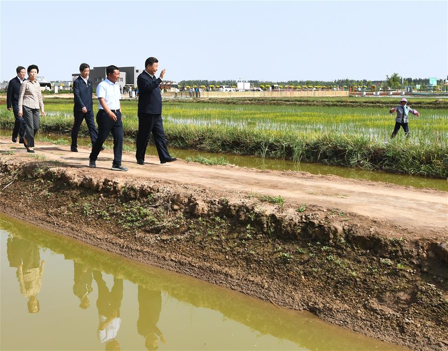 El presidente chino, Xi Jinping, también secretario general del Comité Central del Partido Comunista de China y presidente de la Comisión Militar Central, visita un parque de ecoturismo rural para informarse sobre el desarrollo de la característica agricultura local en el distrito Helan, en la región autónoma de la etnia hui de Ningxia, en el noroeste de China, el 9 de junio de 2020. Xi inspeccionó el martes la ciudad de Yinchuan durante su gira por Ningxia. (Xinhua/Xie Huanchi)