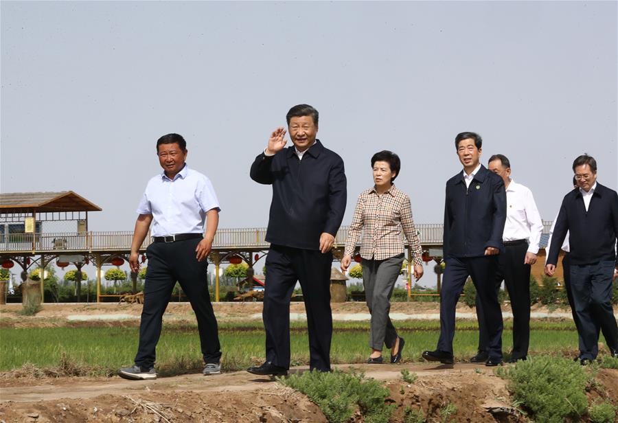 El presidente chino, Xi Jinping, también secretario general del Comité Central del Partido Comunista de China y presidente de la Comisión Militar Central, visita un parque de ecoturismo rural para informarse sobre el desarrollo de la característica agricultura local en el distrito Helan, en la región autónoma de la etnia hui de Ningxia, en el noroeste de China, el 9 de junio de 2020. Xi inspeccionó el martes la ciudad de Yinchuan durante su gira por Ningxia. (Xinhua/Ju Peng)