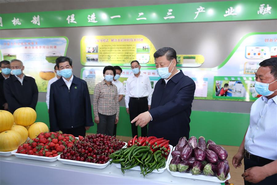 El presidente chino, Xi Jinping, también secretario general del Comité Central del Partido Comunista de China y presidente de la Comisión Militar Central, visita un parque de ecoturismo rural para informarse sobre el desarrollo de la característica agricultura local en el distrito Helan, en la región autónoma de la etnia hui de Ningxia, en el noroeste de China, el 9 de junio de 2020. Xi inspeccionó el martes la ciudad de Yinchuan durante su gira por Ningxia. (Xinhua/Ju Peng)