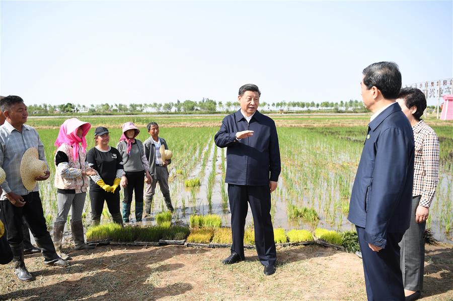 El presidente chino, Xi Jinping, también secretario general del Comité Central del Partido Comunista de China y presidente de la Comisión Militar Central, visita un parque de ecoturismo rural para informarse sobre el desarrollo de la característica agricultura local en el distrito Helan, en la región autónoma de la etnia hui de Ningxia, en el noroeste de China, el 9 de junio de 2020. Xi inspeccionó el martes la ciudad de Yinchuan durante su gira por Ningxia. (Xinhua/Yan Yan)