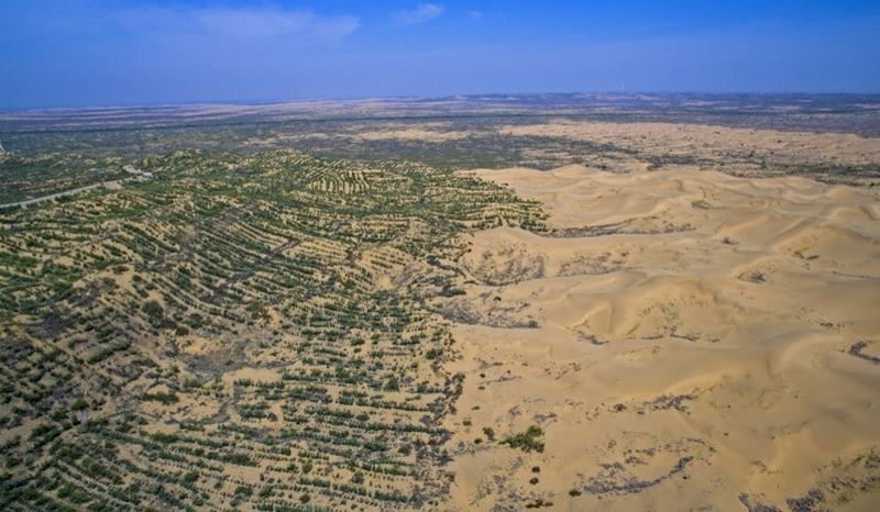La tierra verde sigue creciendo en el desierto de Mu Us. (Foto cortesía de la Reserva Natural de Baijitan)