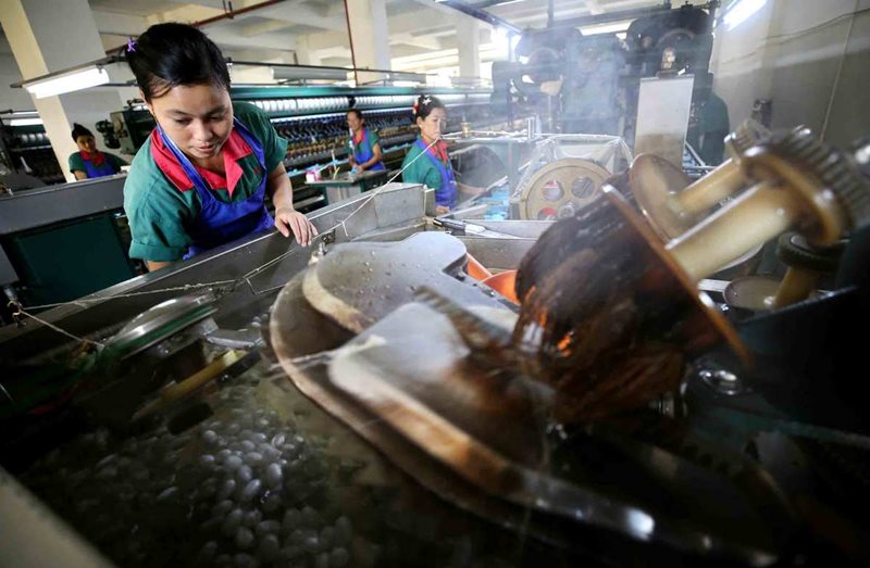 Trabajadores procesan capullos en una fábrica de Longchuan. La producción de seda ha ayudado a la población local a sacudirse de la pobreza, 21 de agosto del 2020. (Foto: Zhang Wei/ China Daily)