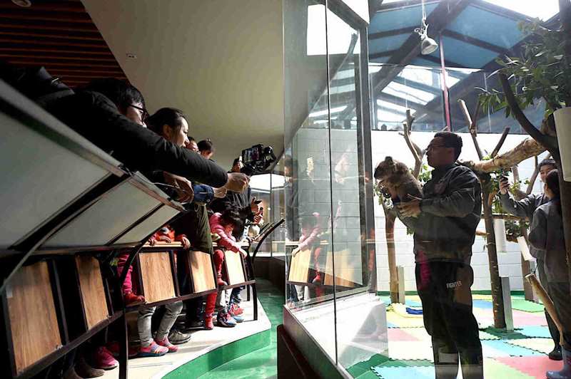 Los criadores cuentan a los visitantes sobre su trabajo en el Zoológico Forestal de Hongshan  en Nanjing, provincia de Jiangsu. (Foto: China Daily)