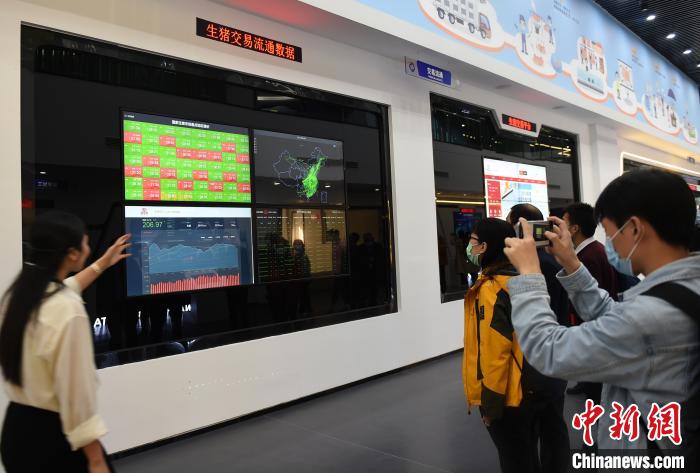 La imagen muestra a los invitados visitando el primer centro de datos masivos de cerdos a nivel nacional en China. Zhou Yi