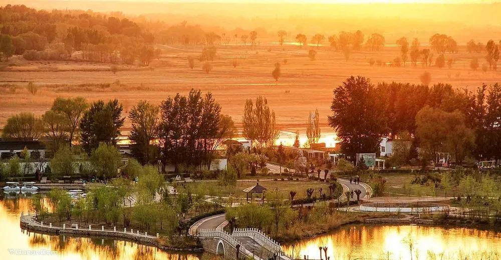 Tanto en sus zonas céntricas como en las reservas suburbanas naturales, Hohhot se cubre de espléndidos tonos dorados. [Foto: proporcionada a China Daily]