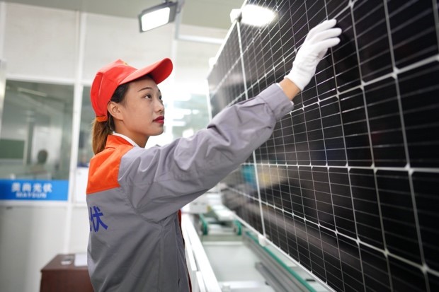 Los paneles fotovoltaicos en una fábrica de ZheJiang Maysun Solar Co., Ltd. en Huzhou, provincia de Zhejiang, este de China, el 14 de octubre. Estos paneles se exportarán a Alemania. Foto de Zhang Bin / Pueblo en Línea