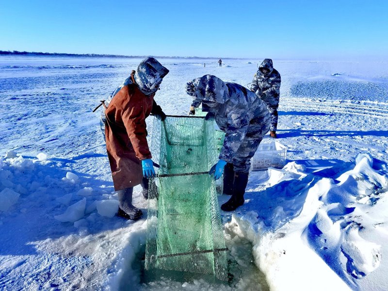 Residentes de Hexigten Banner de Chifeng utilizan métodos de pesca tradicionales, Región Autónoma de Mongolia Interior, 1º de enero del 2021. [Foto: Meng Zhigang/ China Daily]