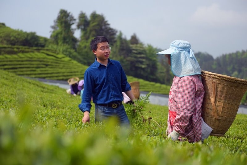 Liao Junhua (a la izquierda), después de lograr su maestría en la Universidad Estatal de Oregón de Estados Unidos, regresó a su ciudad natal para iniciar un negocio de té. En la foto, dialoga con un agricultor de té en una plantación del condado de Xuan'en, provincia central de Hubei, 24 de abril del 2019. (Foto: Pueblo en Línea/ Wang Jun)