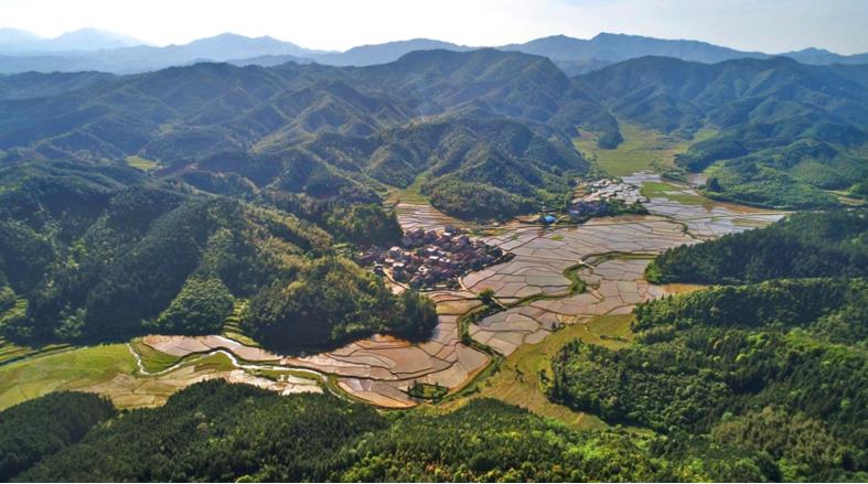 El 13 de junio de 2019, la aldea Xikeng de Tancheng, condado Yongfeng de la ciudad de Ji'an, en la provincia de Jiangxi, cubierta por zonas verdes. Liu Haojun / Pueblo en Línea