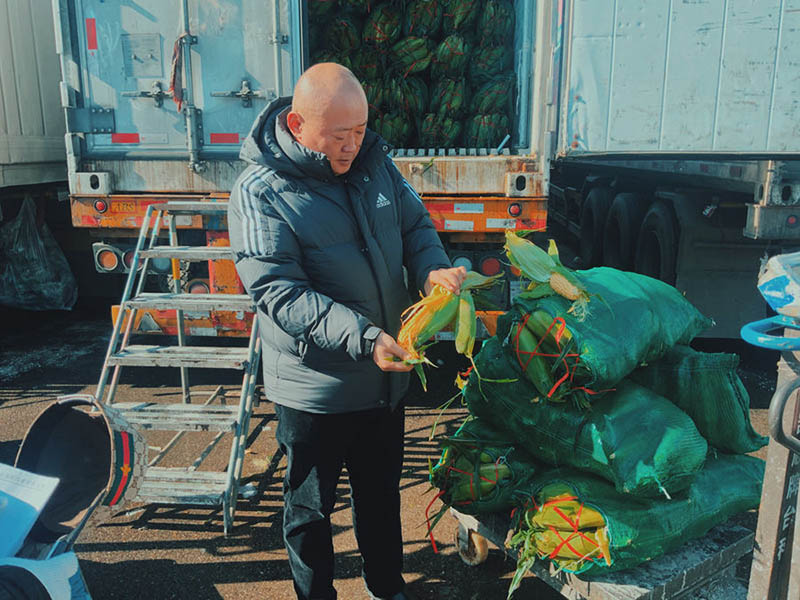 Li Zhongyue, un vendedor de 48 años cuya empresa vende maíz en todo el país y en el extranjero, inspecciona los granos recién cosechados en el mercado Xinfadi. (Pueblo en Línea / Kou Jie)