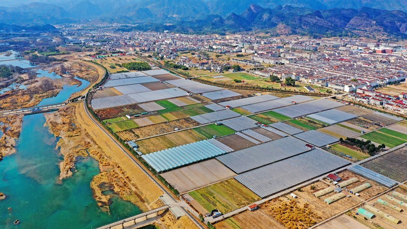 El 1 de febrero, vista aérea de la base de frutas y verduras llena de invernaderos en la ciudad de Hengxi, condado Xianju de Taizhou, provincia de Zhejiang. Wang Huabin / Pueblo en Línea