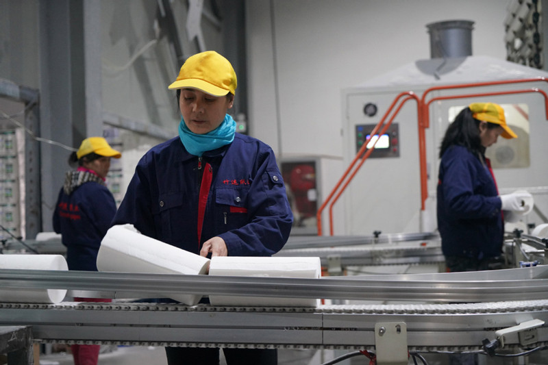 Los empleados trabajan en una fábrica de productos de papel en Chishui, provincia de Guizhou, en enero. Los productos están hechos de bambú ecológico. [Foto / XINHUA]