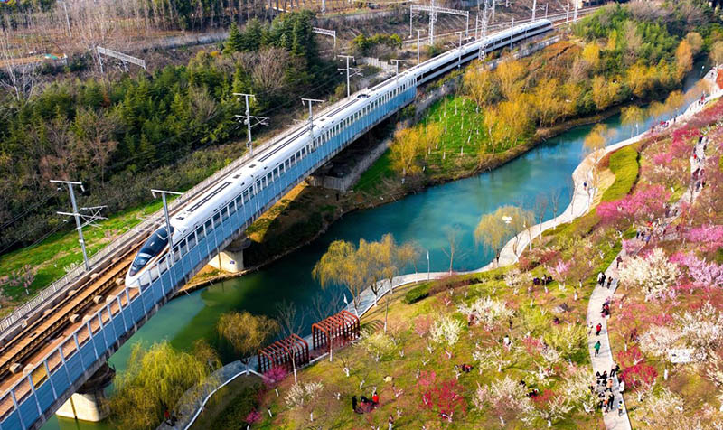 Un tren bala Fuxing pasa por un parque en Hefei, provincia de Anhui, en el este de China, el 14 de febrero de 2021 (Pueblo en Línea / Ruan Xuefeng).