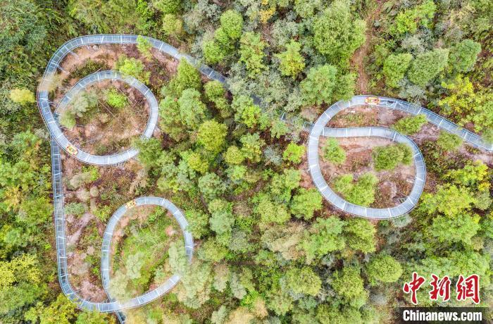 Esta foto sin fecha muestra partes de un tobogán de vidrio con agua instalado en un Parque de Ecoturismo de Bambú de las Tres Gargantas, en el condado Zigui de la provincia de Hubei, en el centro de China. 