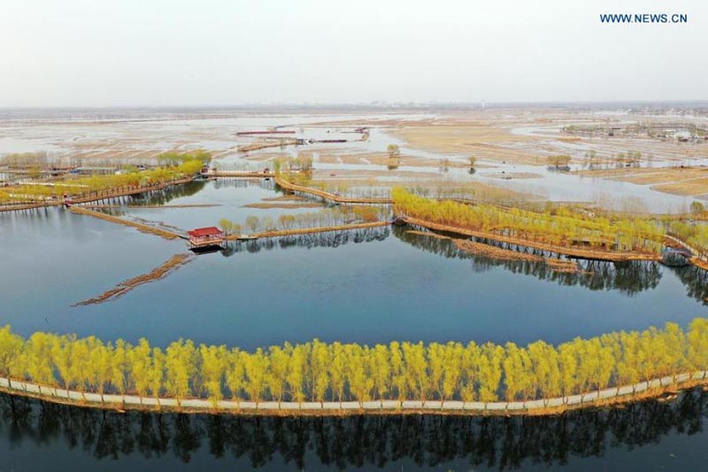 Foto aérea tomada el 16 de marzo de 2021 muestra el paisaje del lago Baiyangdian en la Nueva Área de Xiongan, en la provincia de Hebei, en el norte de China. 