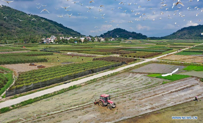 Agricultores trabajan en un campo de Guangpo, provincia de Hainan, 5 de abril del 2021. [Foto: Xinhua]