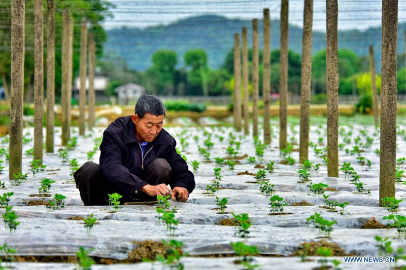 Un aldeano cultiva en Mafu, provincia de Fujian, 5 de abril del 2021. [Foto: Xinhua]